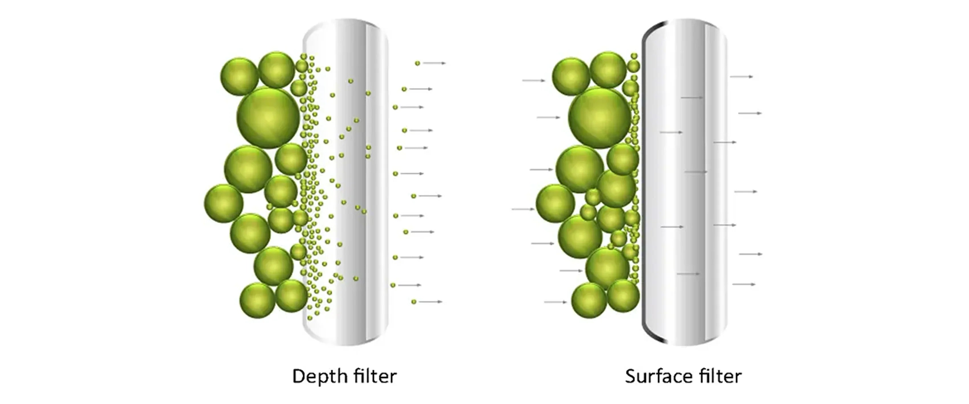 Surface Filters Example Back to Basics: The Difference Between Surface and Depth Filtration ...
