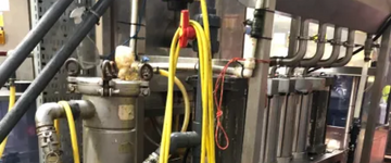 Case Study – AmegA Sciences Ltd