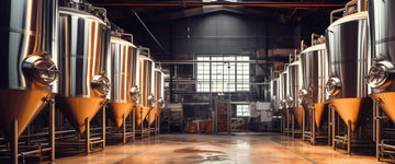 Crafting Better Brews: Can Carbon Cartridges Remove Chloramine in the Brewing Process?