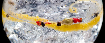 Pure RO Water Is Key To Exceptional Spirit Drinks Appearance