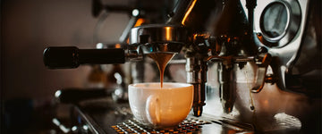 Meet The SPECTRUM STL-CBP-2 Food Service Cartridge