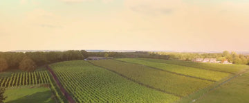 Case Study – Redhill Farm Estate Vineyard