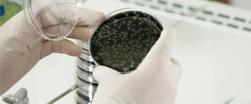 The Unexpected Cause Of Legionella Outbreaks