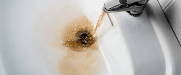 What’s In My Water?