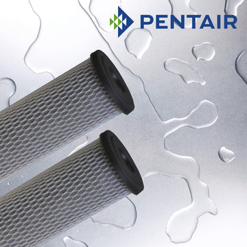 C1   :   PENTAIR Carbon Impregnated Cellulose 5µm 9 3/4"