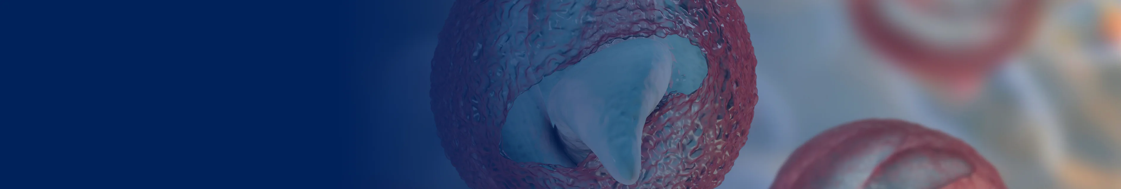 slider image slider_item_Cjjgmc