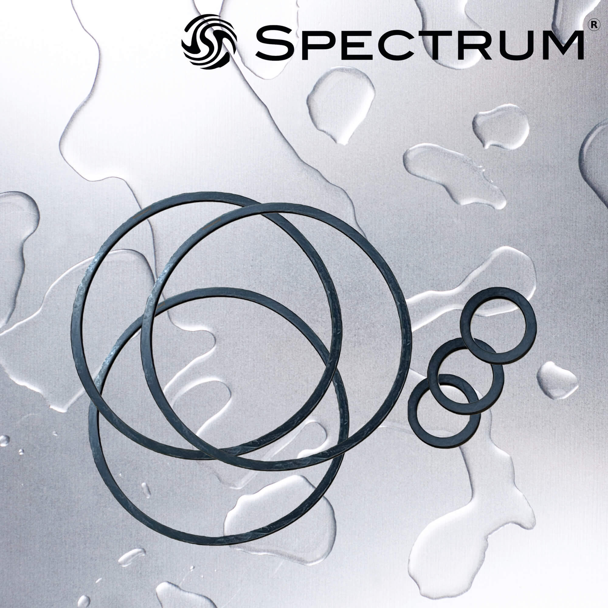 EFH-SBR-1-SEAL-TOPNUT-BUNA   :   SPECTRUM INOX Filter Housing TOPNUT BUNA