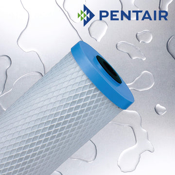 EPM-BB   :   PENTAIR Carbon Block Filter 10µm 93/4" for Big Blue