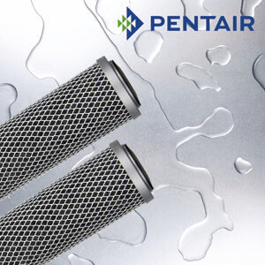 FLOPLUS-10   :   PENTAIR Carbon Fibredyne Block Filter 0.5?m 93/4"