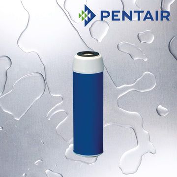 GAC-10   :   PENTAIR Carbon Granular Filter 20µm 93/4"