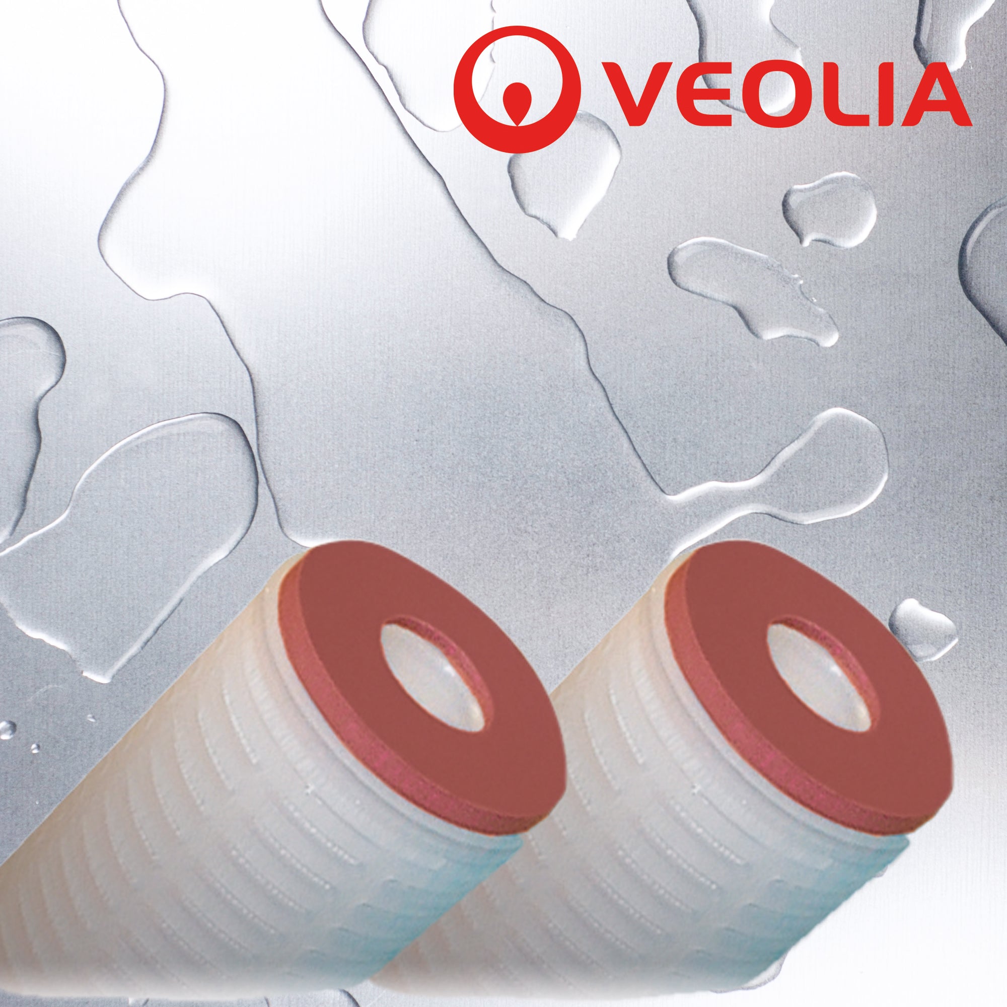 MMP921AAS   :  VEOLIA Memtrex PES Filter 0.2 9.8" DOE/Silicone Gaskets