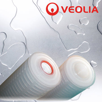 MMP921CGS   :   VEOLIA Memtrex PES Filter 0.2µm 9.8" 213/Closed/Silicone O-rings