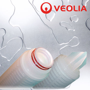 MMP921EHS   :   VEOLIA Memtrex PES Filter 0.2µm 10" 222/Fin/Silicone O-rings