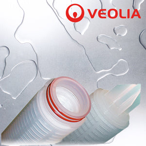 MMP921FHS   :   VEOLIA Memtrex PES Filter 0.2?m 10 Inch 226/Fin/Silicone O-rings