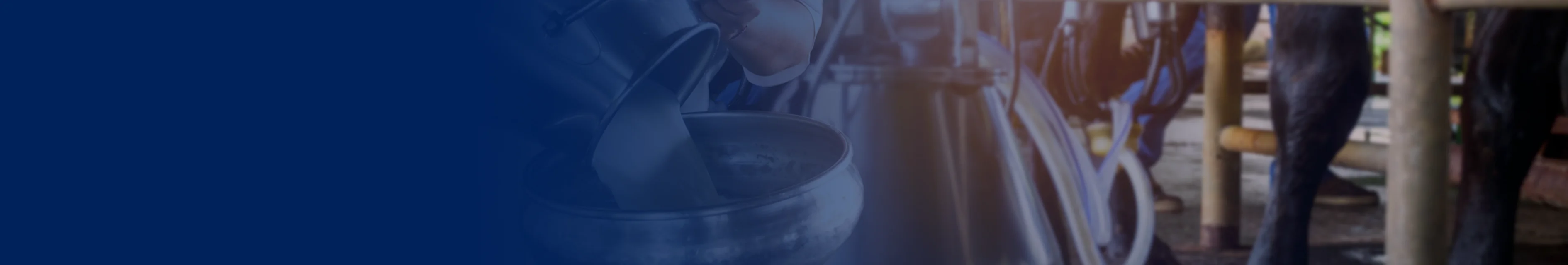 slider image slider_item_Cjjgmc