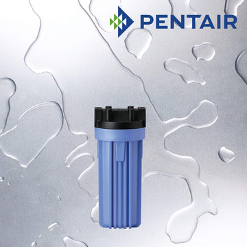 NO10BL3/4WO/PRBTMB   :   PENTAIR NO10 Blue Housing 3/4" MB WO/PR