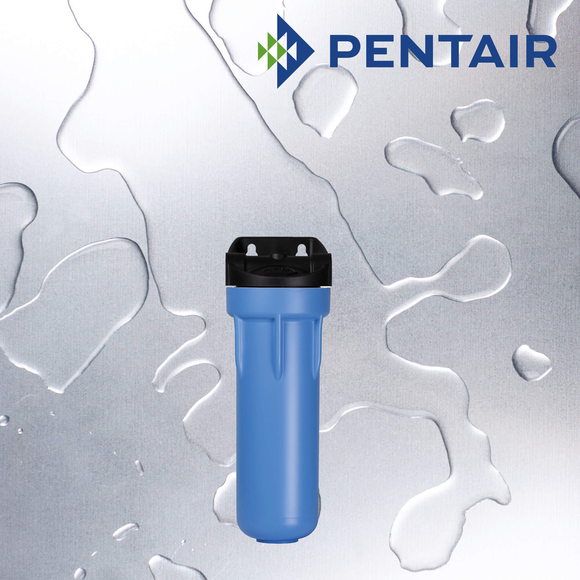 NO103GSLBK/BL1/2BTIBW/PR   :   PENTAIR NO10 3G Slimline Blue Housing 1/2" IB W/PR