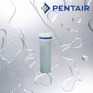 NO12NATBTMB222-2CPLUGS   :   PENTAIR NO12 Natural Housing 222 Plugs 3/4"