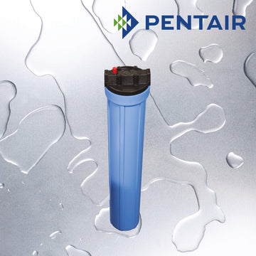 NO20SLBL1/2W/PRBT   :   PENTAIR NO20 Slimline Blue Housing 1/2" W/PR