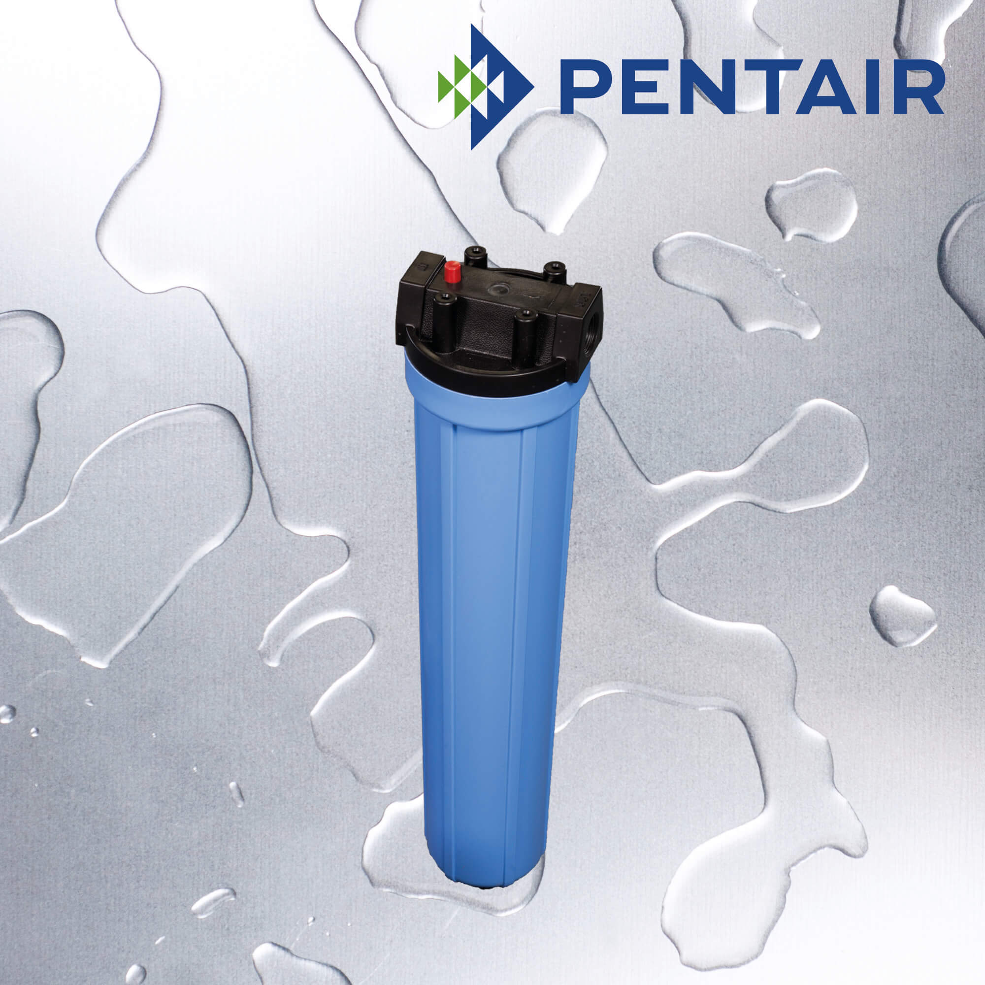NO20BL3/4W/PRBTMB   :   PENTAIR NO20 Blue Housing 3/4" MB W/PR