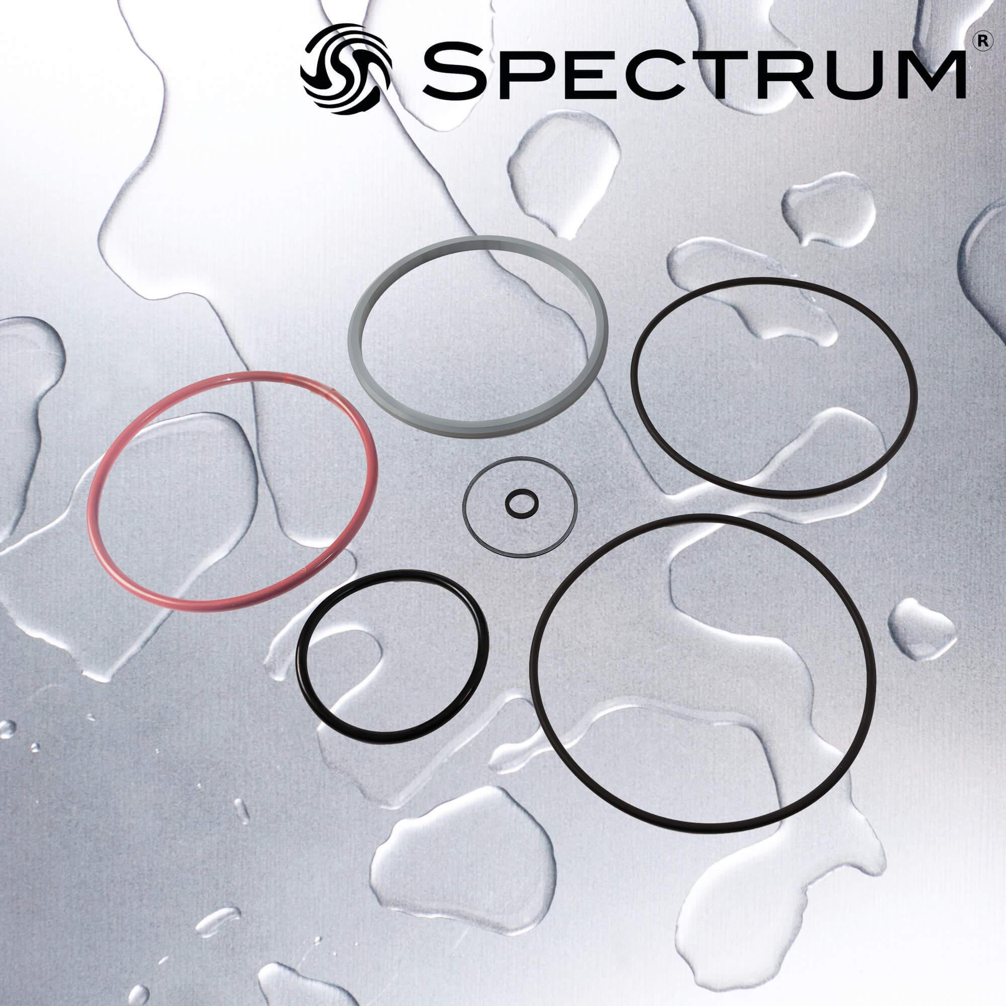 EFH-ORING-RD : SPECTRUM Aqualyze O-ring for EFH Regular Diameter Housings (EPDM)