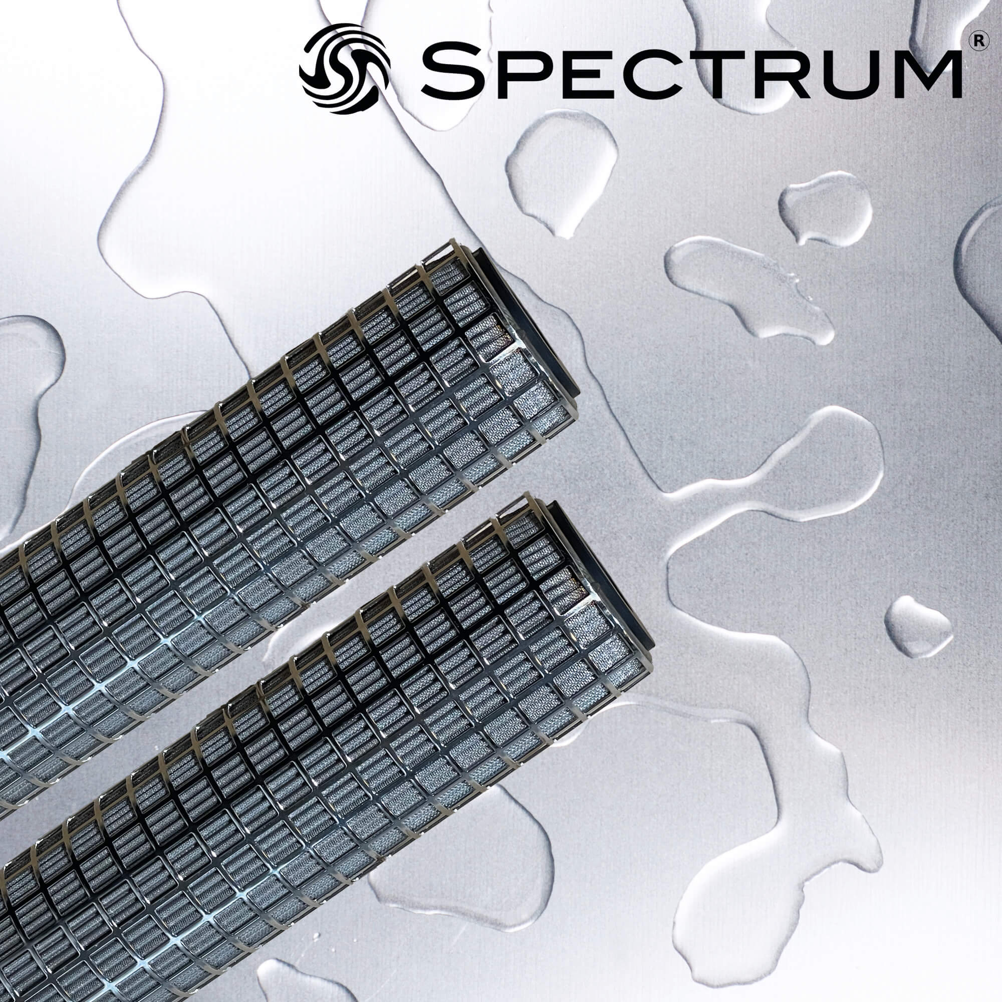 PPS-10-10-V   :   SPECTRUM INOX Stainless Steel Filter 10?m 10" DOE/Viton Gaskets