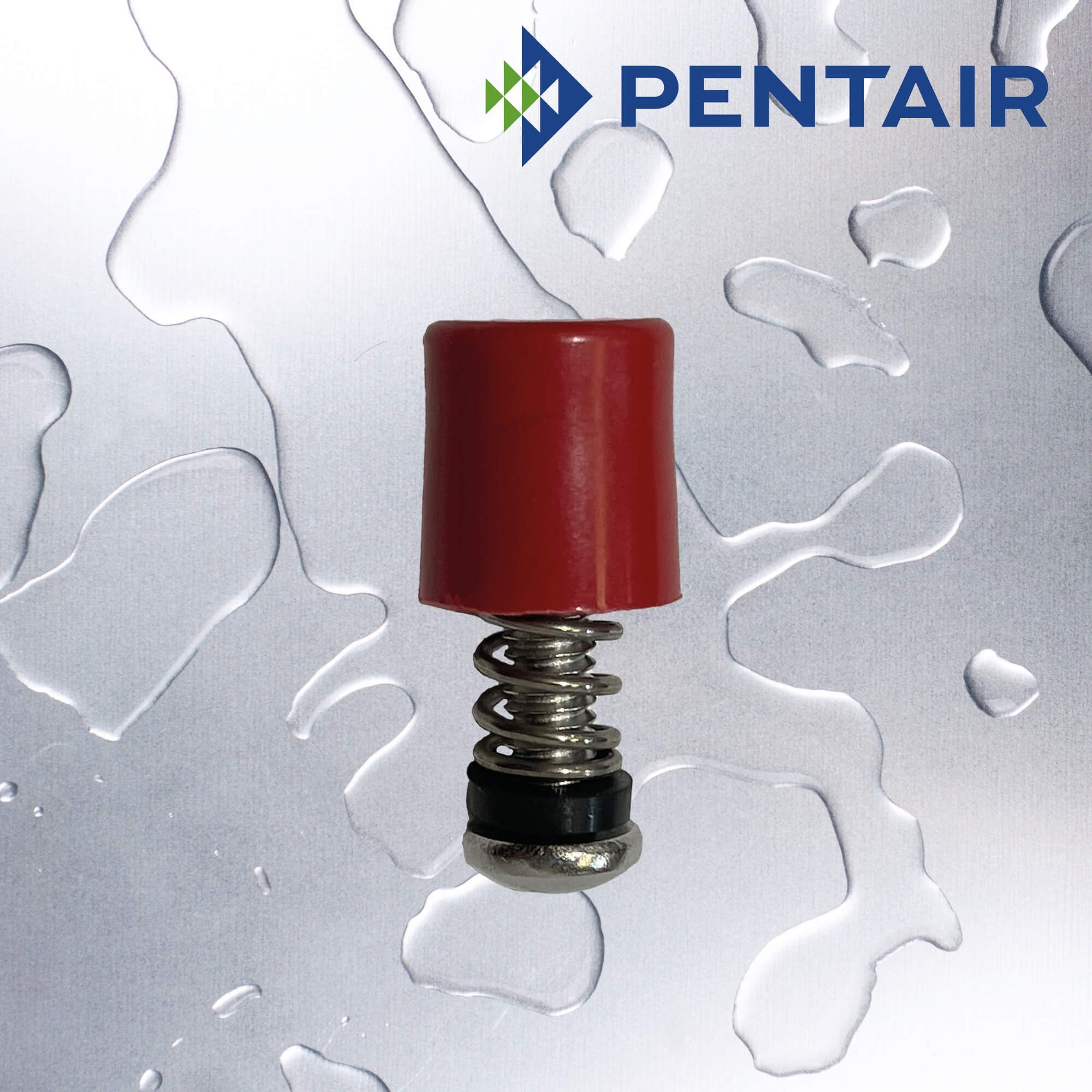 PRBUTTON   :   PENTAIR Pressure Release Button Kit