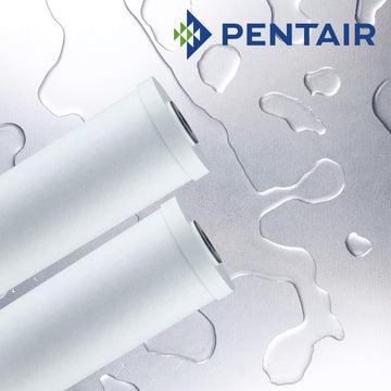 RFC-20   :   PENTAIR Carbon Granular Filter 70?m 20"