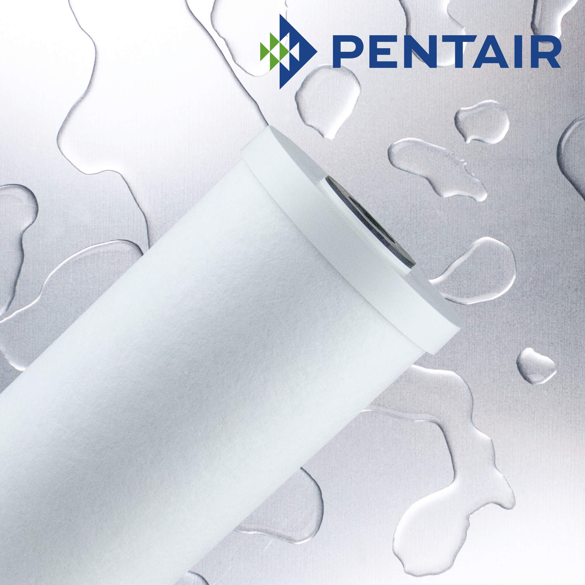 RFC-20BB   :   PENTAIR Carbon Granular Filter 70µm 20" for Big Blue