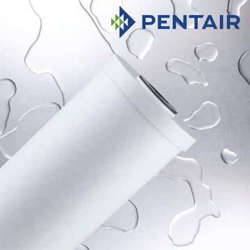 RFC-20BB   :   PENTAIR Carbon Granular Filter 70µm 20" for Big Blue