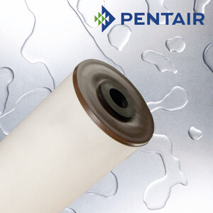 RFFE20-BB   :   PENTAIR Iron Reduction Filter 20" for Big Blue